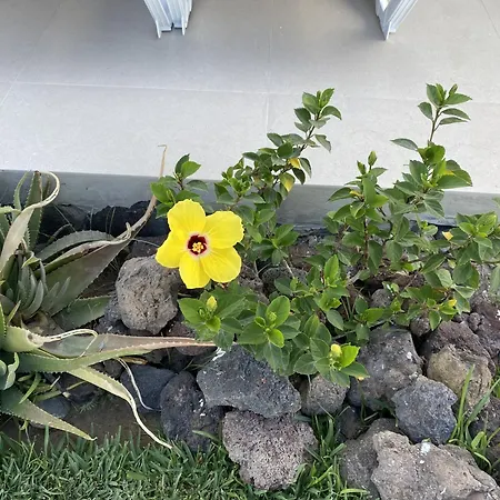 Apartmán Descanso Junto A Dunas Maspalomas (Gran Canaria)