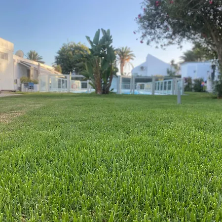 Descanso Junto A Dunas *