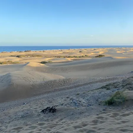 Descanso Junto A Dunas
