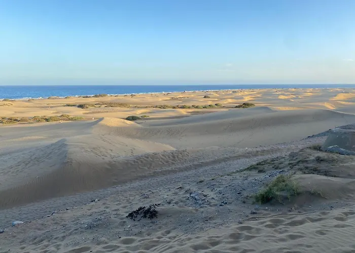 Descanso Junto A Dunas